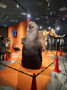 特別展「超危険生物展　科学で挑む生き物の本気」に投稿された画像（2026/4/29）