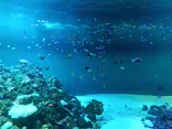 葛西臨海水族園に投稿された画像（2026/4/29）