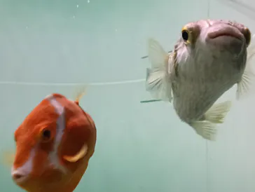 葛西臨海水族園に投稿された画像（2026/4/29）