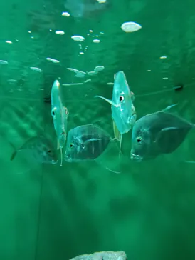 葛西臨海水族園に投稿された画像（2026/4/29）