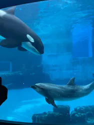 名古屋港水族館に投稿された画像（2026/4/29）