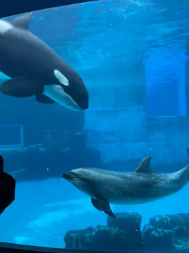 名古屋港水族館に投稿された画像（2026/4/29）