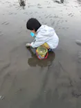 金田みたて海岸潮干狩り場に投稿された画像（2026/4/29）