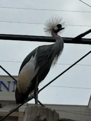 天王寺動物園に投稿された画像（2026/4/29）