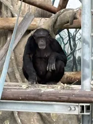 天王寺動物園に投稿された画像（2026/4/29）