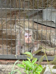 天王寺動物園に投稿された画像（2026/4/29）