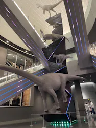 福井県立恐竜博物館に投稿された画像（2026/4/29）