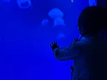大分マリーンパレス水族館 「うみたまご」に投稿された画像（2026/4/29）
