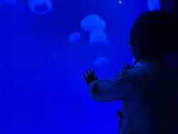 大分マリーンパレス水族館 「うみたまご」に投稿された画像（2026/4/29）