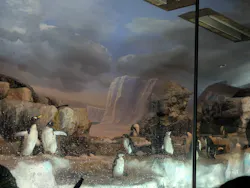 名古屋港水族館に投稿された画像（2026/4/29）