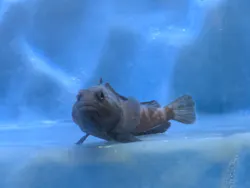 名古屋港水族館に投稿された画像（2026/4/29）