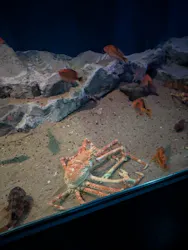 名古屋港水族館に投稿された画像（2026/4/29）