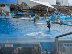 名古屋港水族館に投稿された画像（2026/4/29）