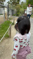 神戸どうぶつ王国に投稿された画像（2026/4/29）