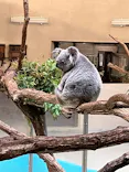 多摩動物公園に投稿された画像（2026/4/29）