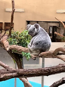 多摩動物公園に投稿された画像（2026/4/29）