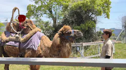 神戸どうぶつ王国に投稿された画像（2026/4/29）