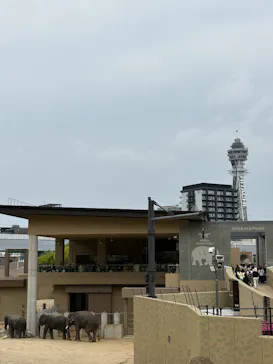 天王寺動物園に投稿された画像（2026/4/29）
