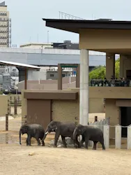 天王寺動物園に投稿された画像（2026/4/29）