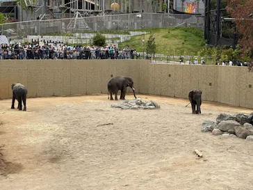 天王寺動物園に投稿された画像（2026/4/29）
