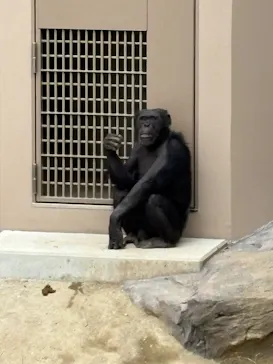 天王寺動物園に投稿された画像（2026/4/29）