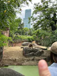 天王寺動物園に投稿された画像（2026/4/29）