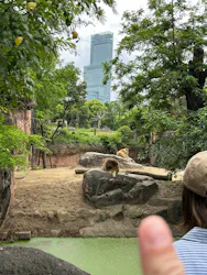 天王寺動物園に投稿された画像（2026/4/29）