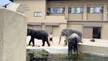 天王寺動物園に投稿された画像（2026/4/29）