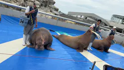 大分マリーンパレス水族館 「うみたまご」に投稿された画像（2026/4/29）