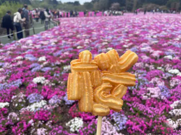 富士芝桜まつり(富士本栖湖リゾート)に投稿された画像（2026/4/29）