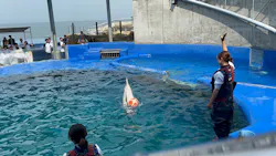 大分マリーンパレス水族館 「うみたまご」に投稿された画像（2026/4/29）