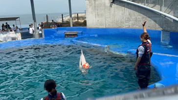 大分マリーンパレス水族館 「うみたまご」に投稿された画像（2026/4/29）