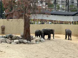 天王寺動物園に投稿された画像（2026/4/29）