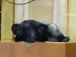 名古屋市東山動植物園に投稿された画像（2026/4/29）