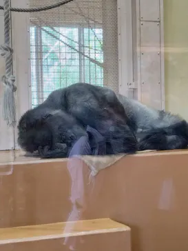 名古屋市東山動植物園に投稿された画像（2026/4/29）
