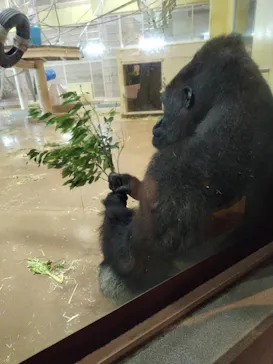 名古屋市東山動植物園に投稿された画像（2026/4/29）