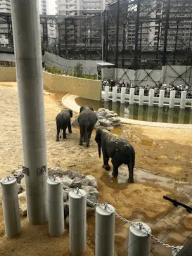 天王寺動物園に投稿された画像（2026/4/29）