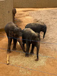 天王寺動物園に投稿された画像（2026/4/29）