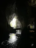 秋芳洞に投稿された画像（2026/4/29）