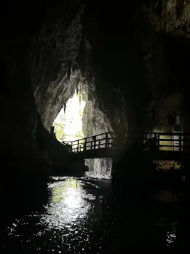 秋芳洞に投稿された画像（2026/4/29）