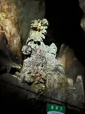 秋芳洞に投稿された画像（2026/4/29）