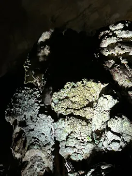 秋芳洞に投稿された画像（2026/4/29）