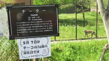 広島市安佐動物公園に投稿された画像（2026/4/29）