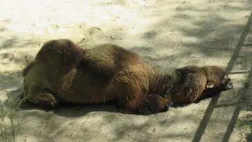 広島市安佐動物公園に投稿された画像（2026/4/29）