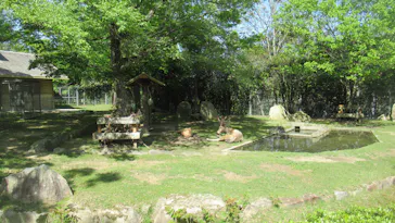 広島市安佐動物公園に投稿された画像（2026/4/29）