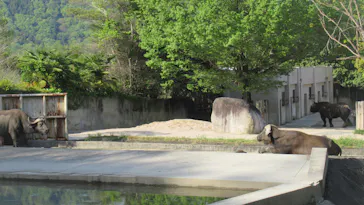 広島市安佐動物公園に投稿された画像（2026/4/29）