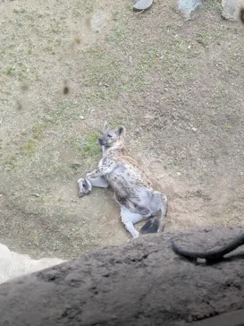 天王寺動物園に投稿された画像（2026/4/29）