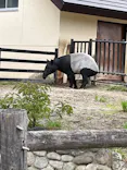 東武動物公園に投稿された画像（2026/4/29）