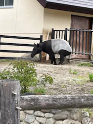 東武動物公園に投稿された画像（2026/4/29）