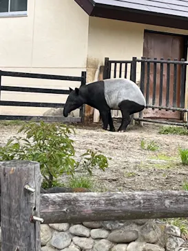 東武動物公園に投稿された画像（2026/4/29）